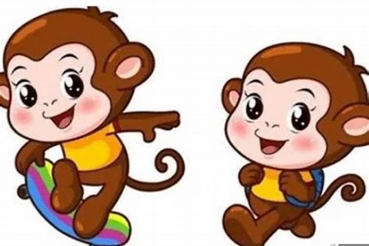 属猴和属马的什么时候来