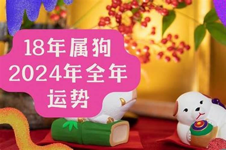 2021属狗的今年应该注意什么