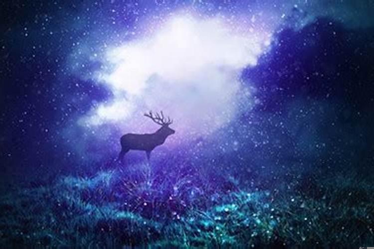 梦到被蛇咬手指头是什么意思呀