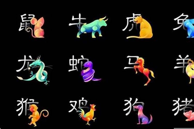 喜肖有什么生肖