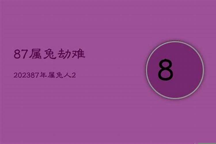 87属兔劫难2019的那一月
