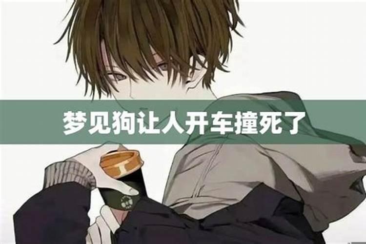 梦见狗被车撞了还活着