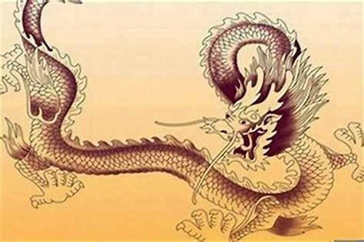 属龙和属牛的住几楼层好