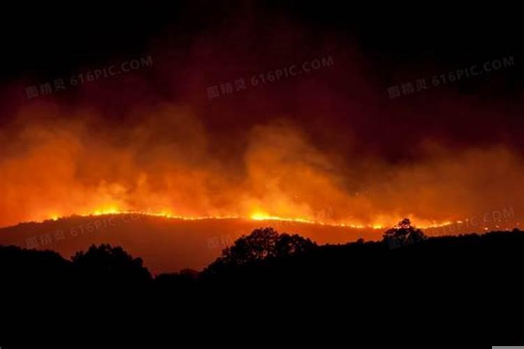 梦见大火很大的森林大火