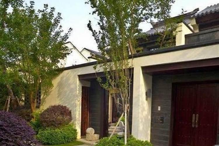 风水门前门后种什么好