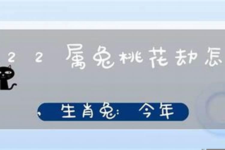 属兔今年桃花劫