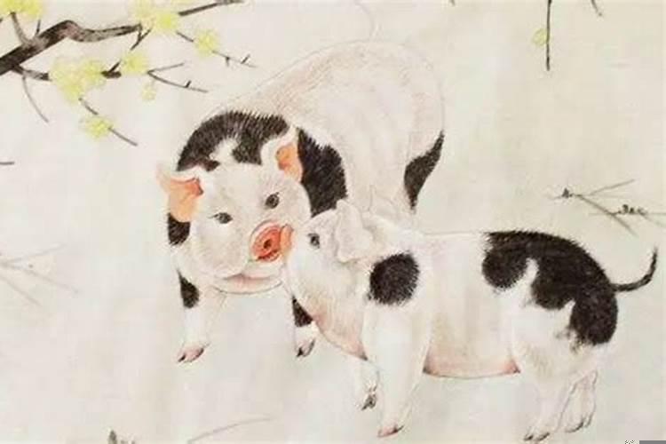 喜肖有什么生肖