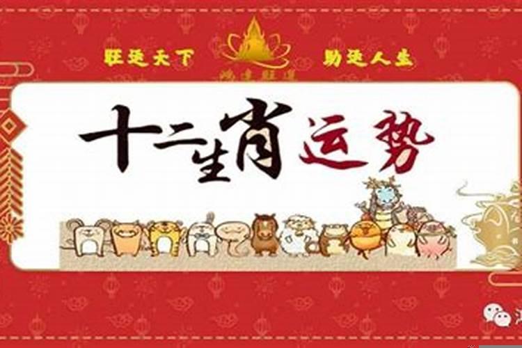 明天各生肖的运势详情