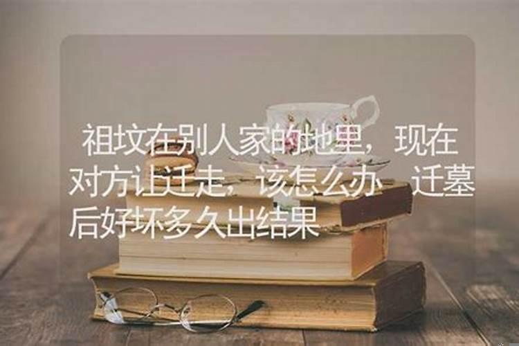 迁错别人家的坟怎么办