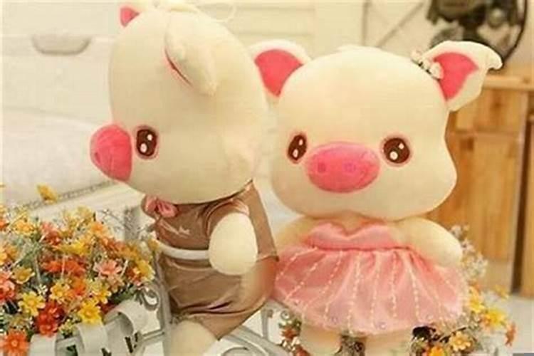 属猪的女的戴什么旺财