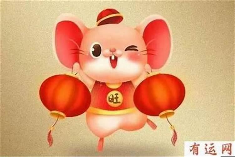 属鼠今年运势2020年运势