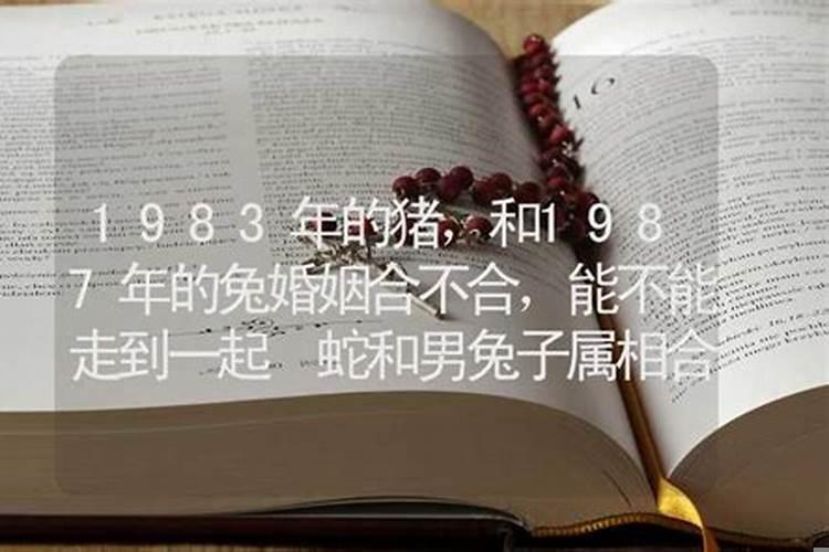 1987年和1983年合不合