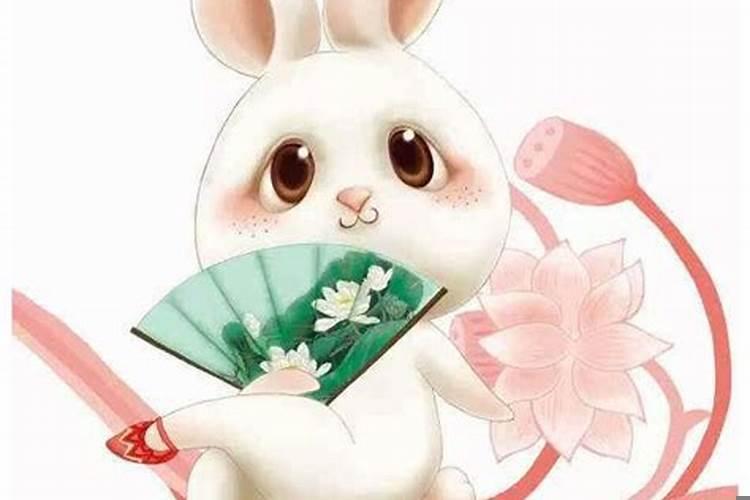 属兔女的命运怎么样