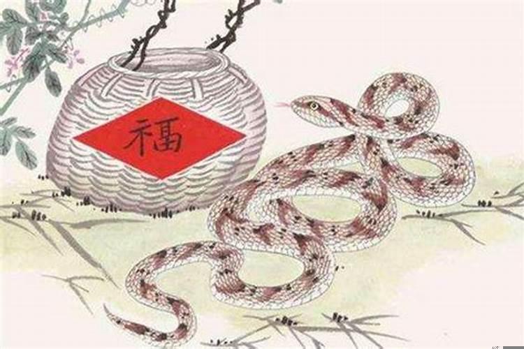 蛇和属牛的相配吗?