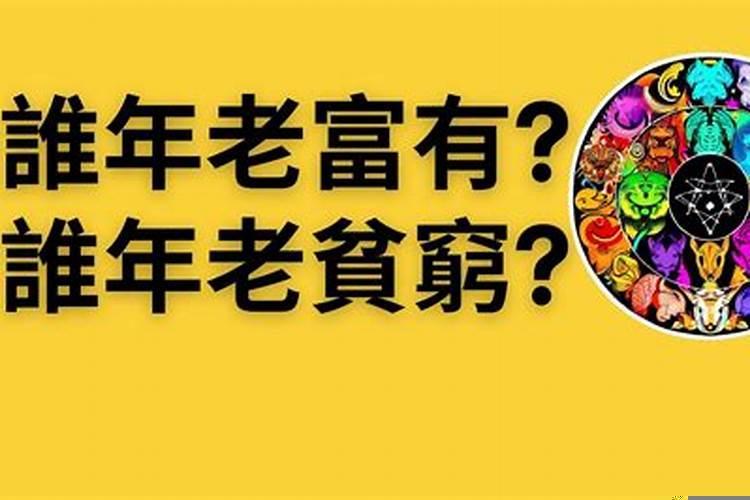 十二生肖最喜欢什么颜色