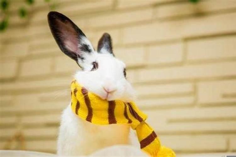 一个女人出轨了会怎么样