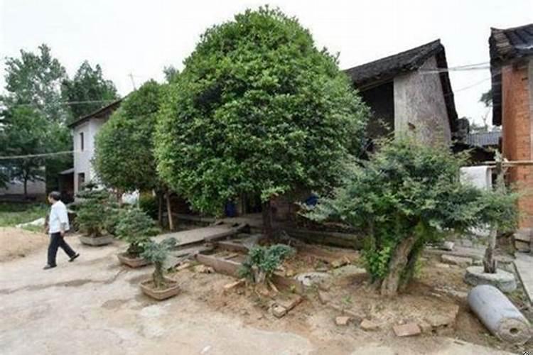 装修办公楼要注意哪些风水禁忌呢