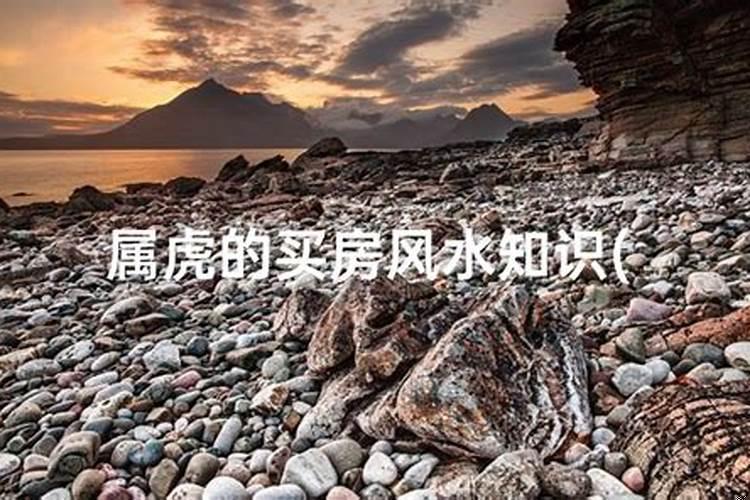 1974属虎住几楼最旺