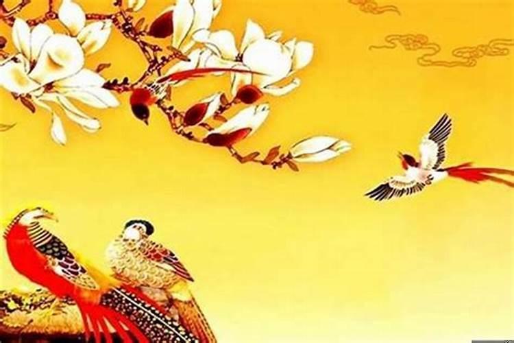 十二生肖犯桃花劫