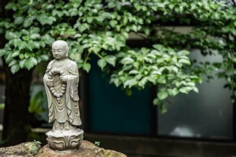 五行命盘是癸水的名人