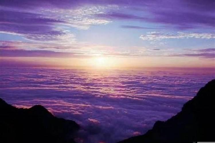 有哪些转运的方法