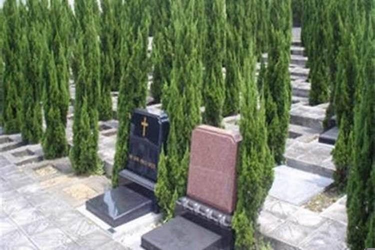 黄历离婚选什么日子好