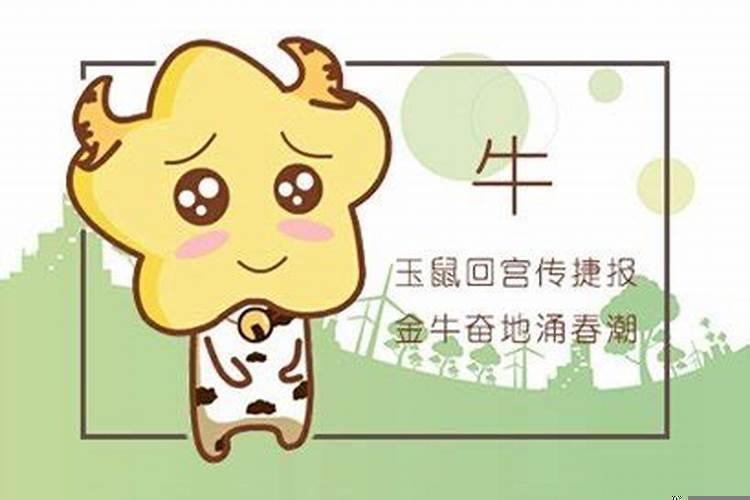 85年属牛什么命运