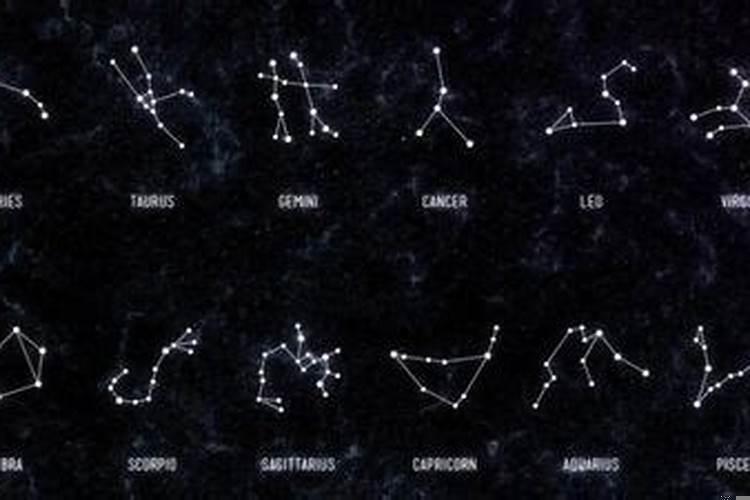 十二星座的爱情