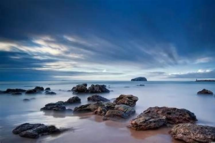 天秤座和狮子座配不配