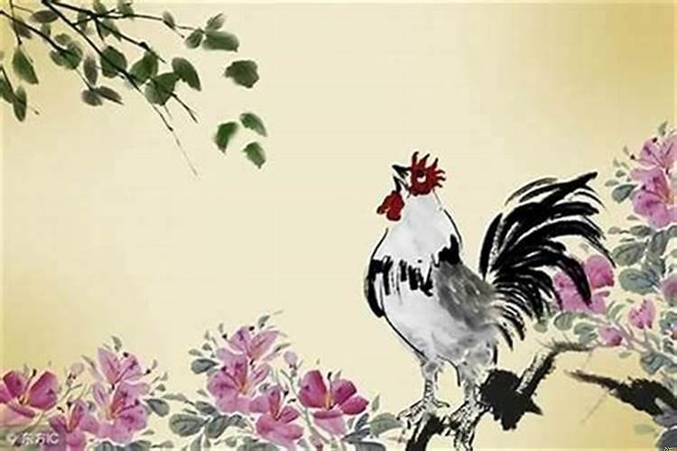 69年生肖鸡是什么命