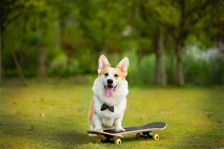 孕妇梦见被小孩咬是什么意思周公解梦