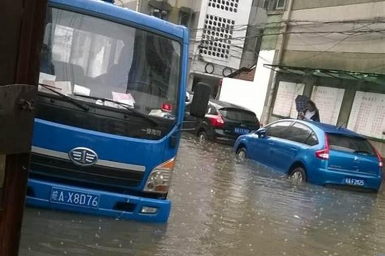 昨晚上梦到发大水了