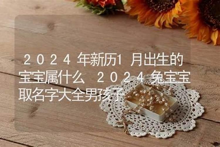 2020年一月份生的宝宝属什么