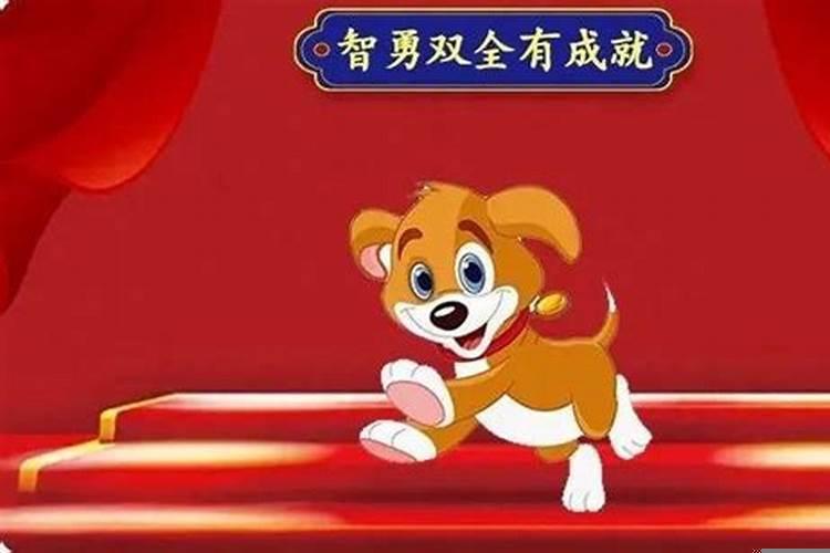 二五相加是什么生肖