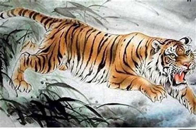 74年属虎男人的婚姻状况