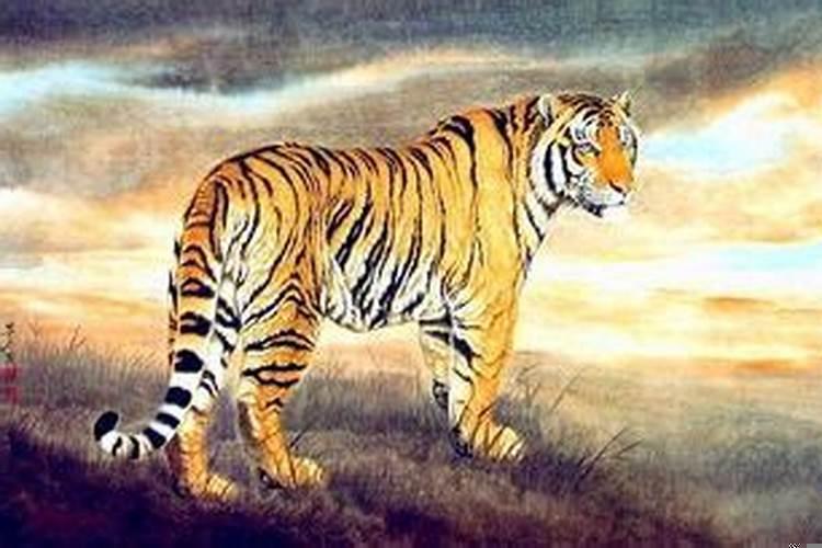 1974年属虎买车什么颜色最好