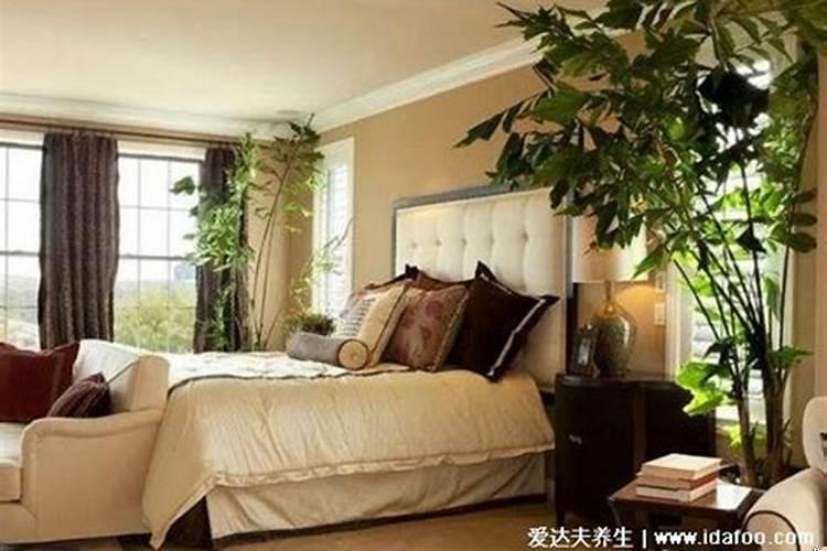 床底放一样东西必定发财