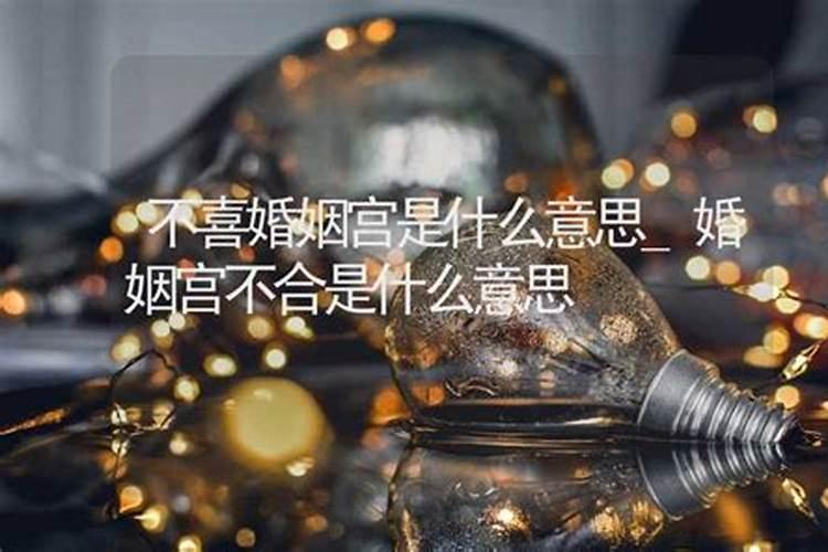 婚姻合的意思是什么