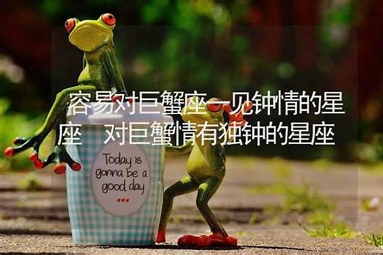 对巨蟹情有独钟的星座