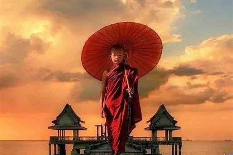 87年的兔什么时候结婚好