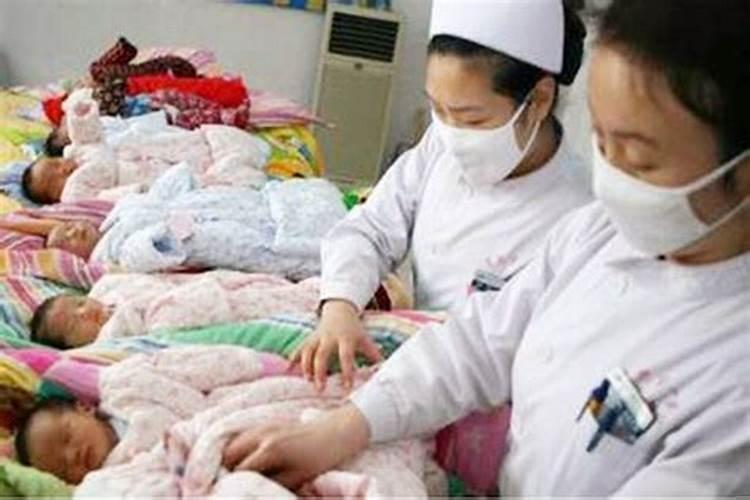 十二生肖哪些月份出生命苦