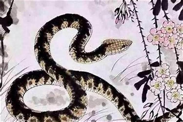 属蛇男跟属虎女今年结婚好不好