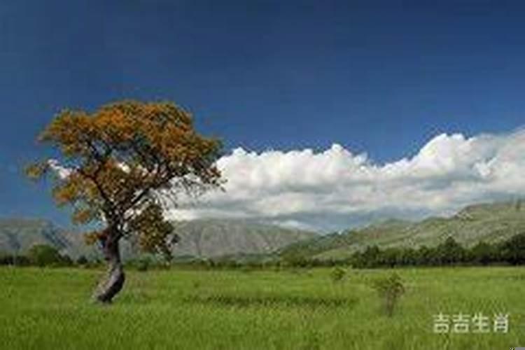 属猴的人偏财运怎么样