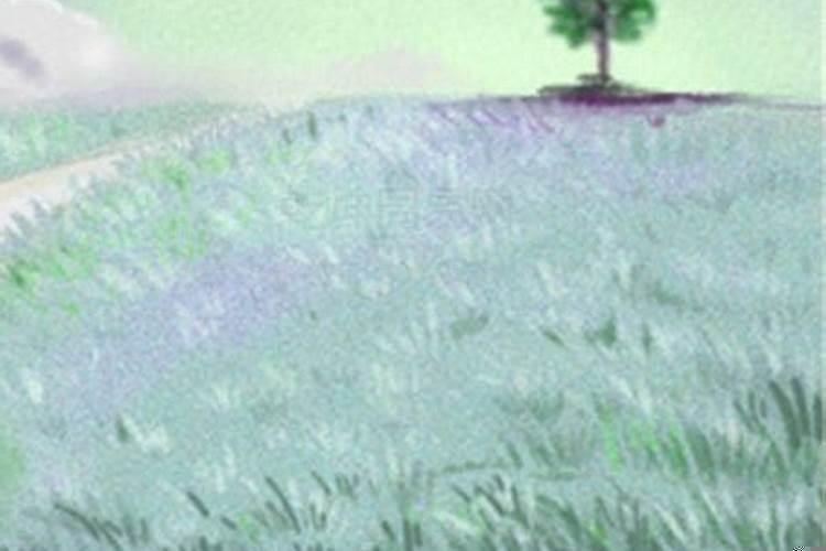 黄历离婚选什么日子好