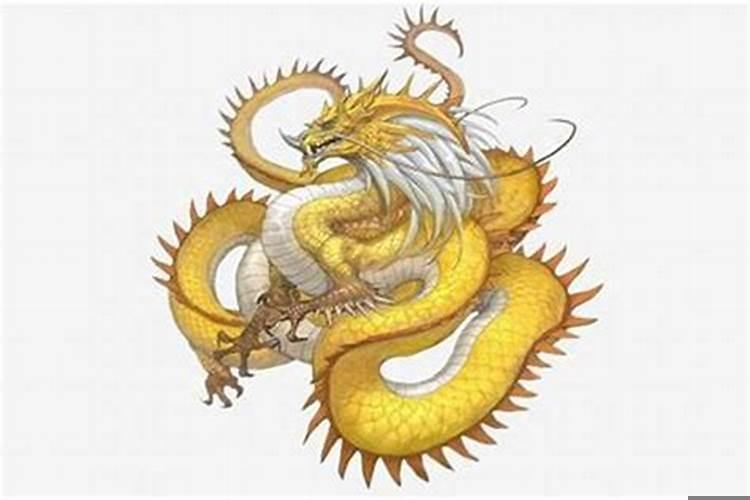 属龙跟什么属相不配