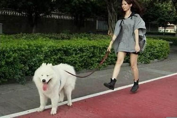 外公为什么不来我的梦里