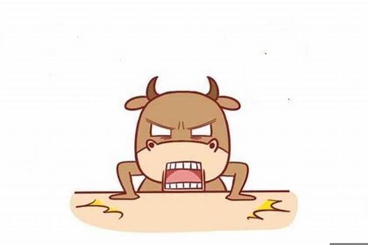 属牛的性格和脾气男人怎么样