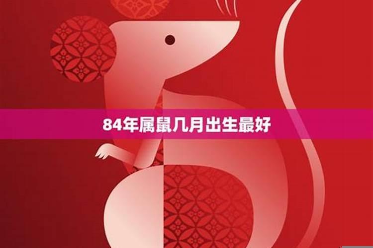 2020年属鼠几月几日几时出生最好命