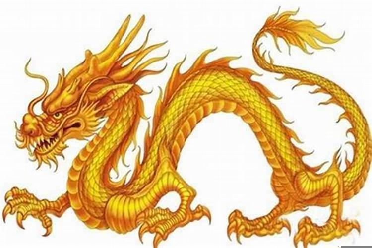 属龙2021运气怎样