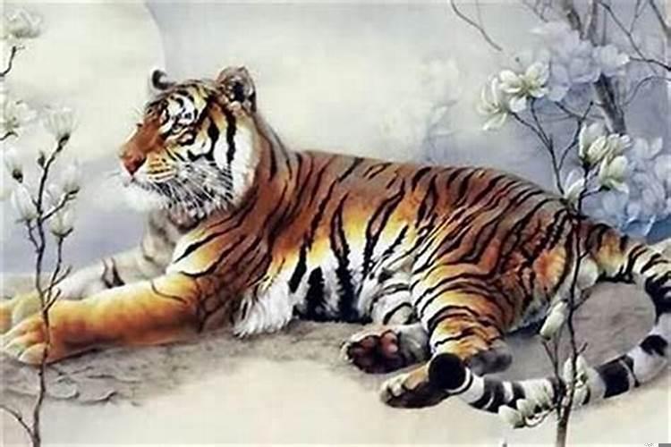 属虎的能生属虎的孩子吗